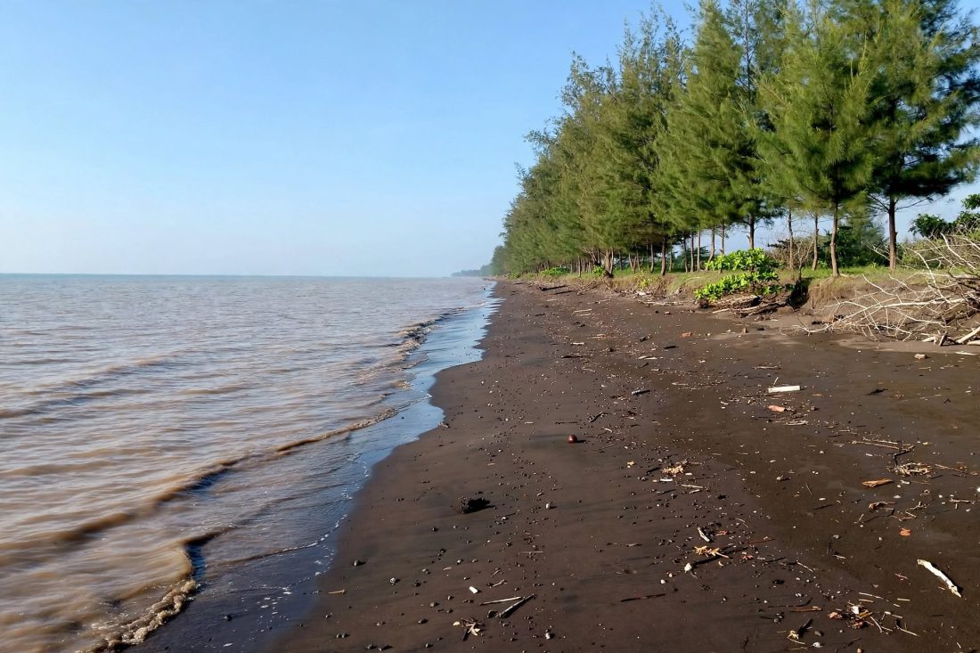 Garis pantai Pantai Indah Kemangi Kendal yang akan diperluas 1,7 kilometer ke arah timur