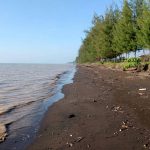 Garis pantai Pantai Indah Kemangi Kendal yang akan diperluas 1,7 kilometer ke arah timur